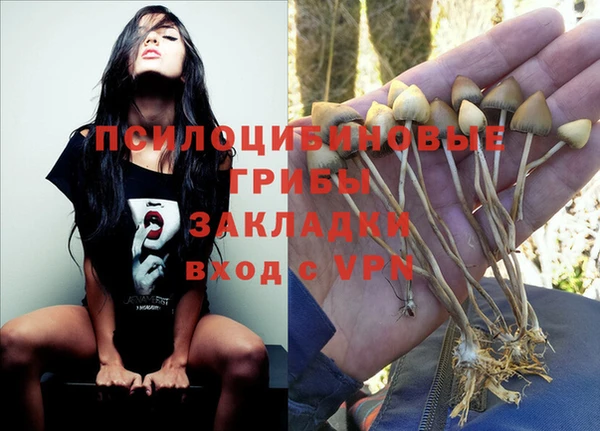 марихуана Володарск