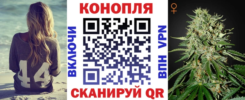 Каннабис ГИДРОПОН  Видное 